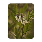 Blaubeere 585 magnet (Vertikal)