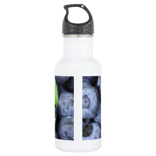 BLAUBEERE EDELSTAHLFLASCHE (Rückseite)