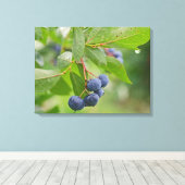 Blaubeere Leinwanddruck (Insitu (Holzboden))