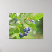 Blaubeere Leinwanddruck (Vorderseite)