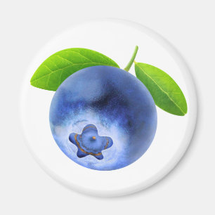 Blaubeere Magnet