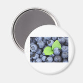 BLAUBEERE MAGNET (Vorderseite/Rückseite)