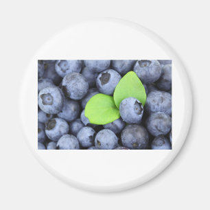 BLAUBEERE MAGNET