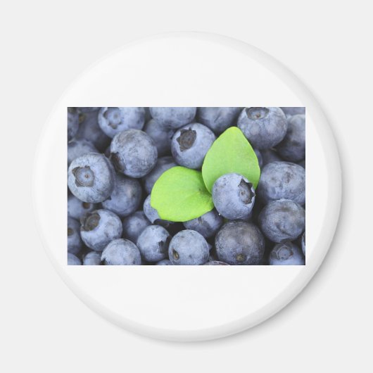 BLAUBEERE MAGNET (Vorne)