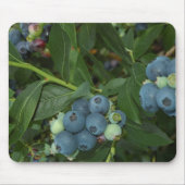 Blaubeere Mousepad (Vorne)
