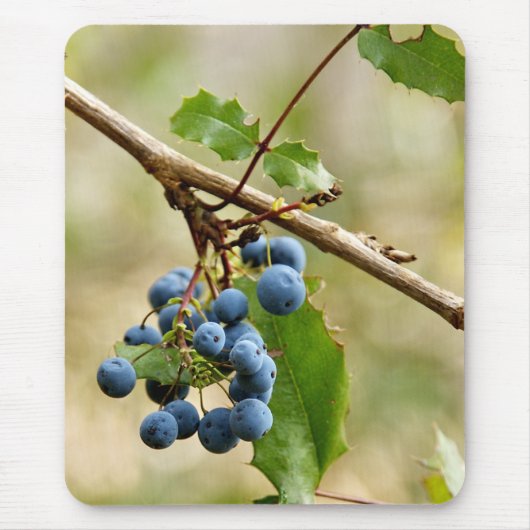 Blaubeere Mousepads (Vorne)