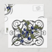 Blaubeere Postkarte (Vorne/Hinten)