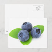 Blaubeere Postkarte (Vorne/Hinten)