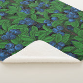 Blaubeere Sherpadecke (3/4)