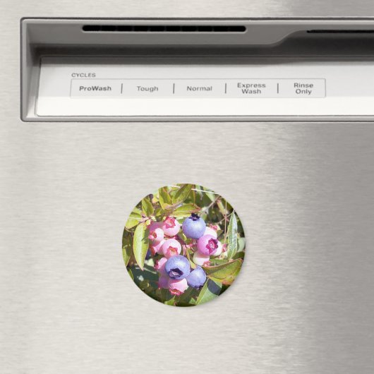 Blaubeeren 1 Magnet (In Situ (Geschirrspüler))