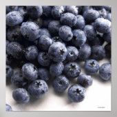 Blaubeeren 2 poster (Vorne)