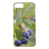 Blaubeeren auf Busch Case-Mate iPhone Hülle (Rückseite)