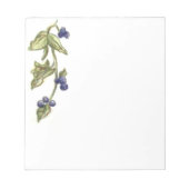 Blaubeeren auf dem Venenrekord Notizblock (Vorderseite)