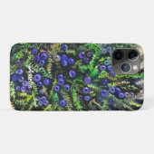 Blaubeeren Case-Mate iPhone Hülle (Rückseite (Horizontal))