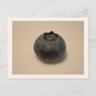 Blaubeeren, die ich kannte 14 postkarte