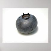 Blaubeeren, die ich kenne 13 poster (Vorne)