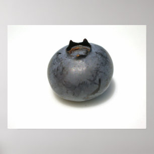 Blaubeeren, die ich kenne 13 poster