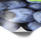 Blaubeeren Fotodruck (Ecke)