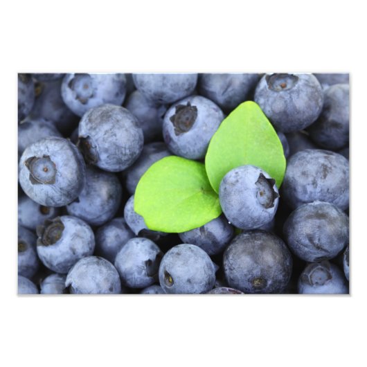 Blaubeeren Fotodruck (Vorne)