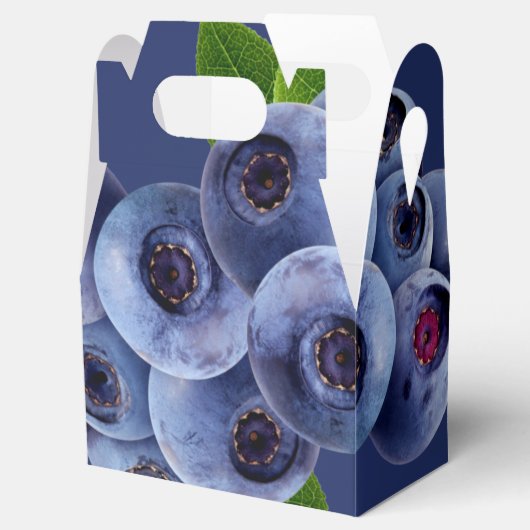 Blaubeeren Früchte Geschenkschachtel (Geöffnet)