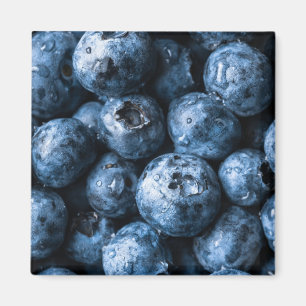 Blaubeeren Früchte Magnet