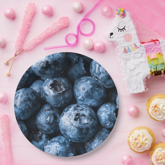 Blaubeeren Früchte Pappteller (Party)
