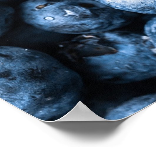 Blaubeeren Früchte Poster (Ecke)