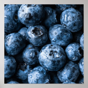 Blaubeeren Früchte Poster