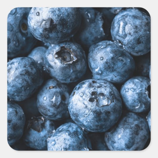 Blaubeeren Früchte Quadratischer Aufkleber (Vorderseite)