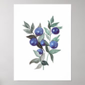 Blaubeeren Fruchtfarben Kunstwerk Poster (Vorne)