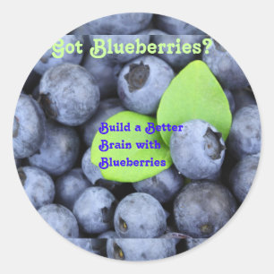 Blaubeeren got? runder aufkleber