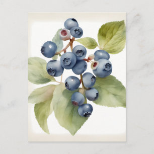 Blaubeeren in Aquarellfarbe Postkarte