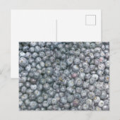 Blaubeeren Kunst Postkarte (Vorne/Hinten)