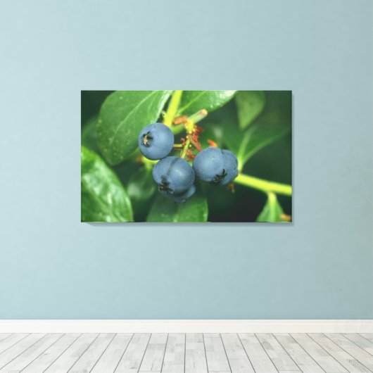 Blaubeeren Leinwanddruck (Insitu (Holzboden))