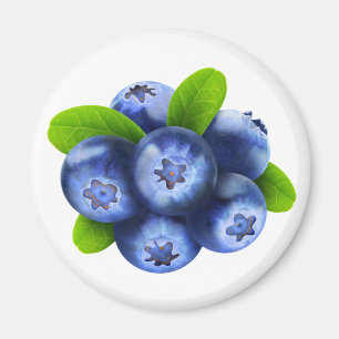 Blaubeeren Magnet