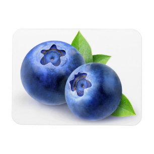 Blaubeeren Magnet