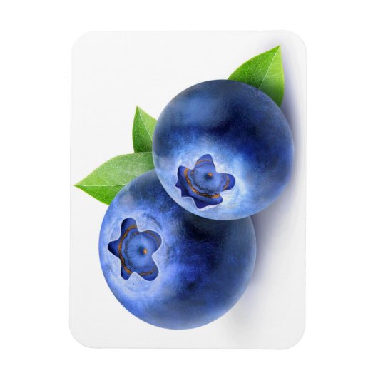 Blaubeeren Magnet (Vertikal)