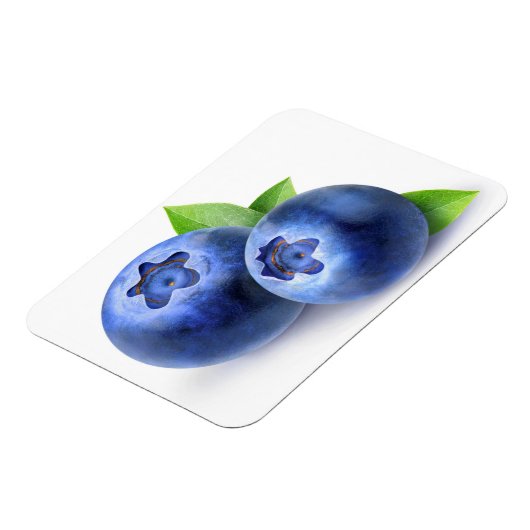 Blaubeeren Magnet (Linke Seite)