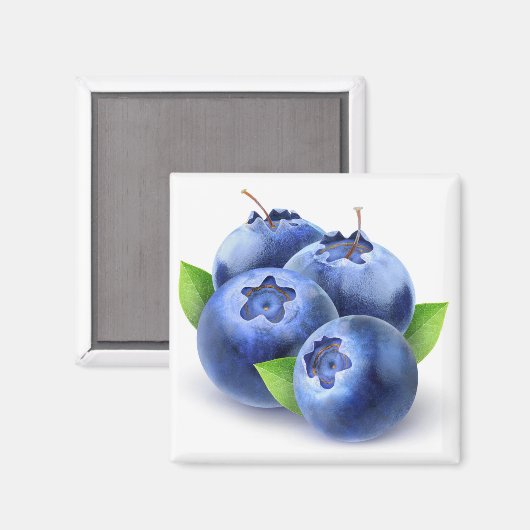 Blaubeeren Magnet (Vorderseite/Rückseite)