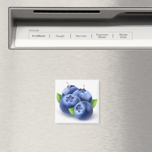 Blaubeeren Magnet (In Situ (Geschirrspüler))