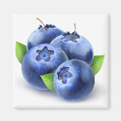 Blaubeeren Magnet (Vorne)