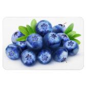 Blaubeeren Magnet (Horizontal)