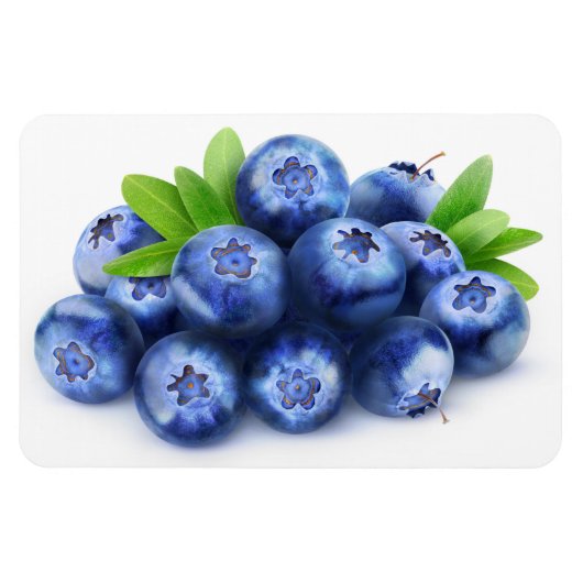 Blaubeeren Magnet (Horizontal)