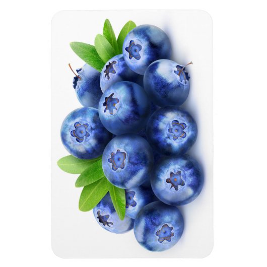Blaubeeren Magnet (Vertikal)