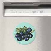 Blaubeeren Magnet (In Situ (Geschirrspüler))
