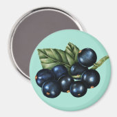 Blaubeeren Magnet (Vorderseite/Rückseite)