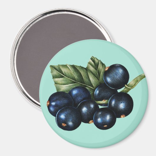 Blaubeeren Magnet (Vorderseite/Rückseite)