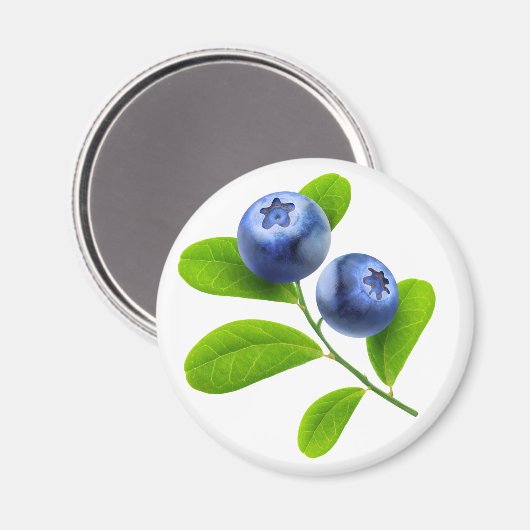 Blaubeeren Magnet (Vorderseite/Rückseite)