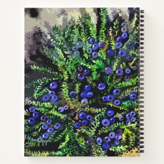 Blaubeeren Notizblock (Rückseite)