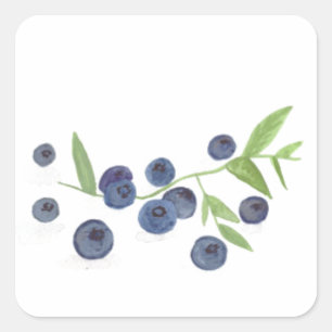 Blaubeeren Obst Küchendekor Aquarell  Quadratischer Aufkleber